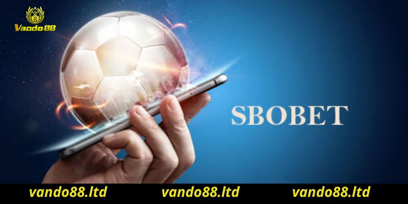 Cách chơi cá cược đơn giản